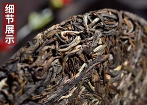 品鑒2019年石雨益昌號(hào)布朗古樹餅茶