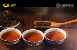 潤元昌柑普茶 湖南廣電茶頻道傾情推薦，品味地道茶香